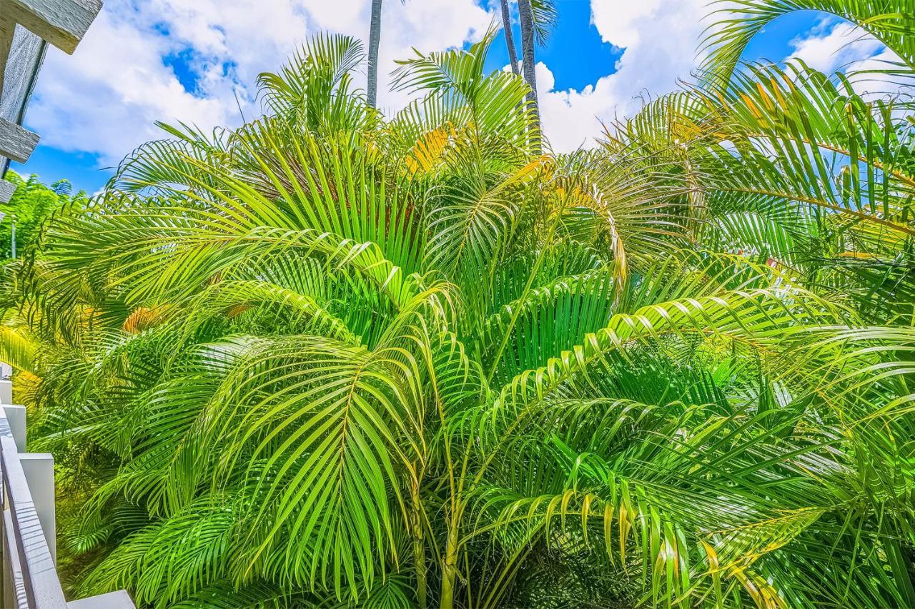Plantation Hale A10 Kapa'a Exterior foto